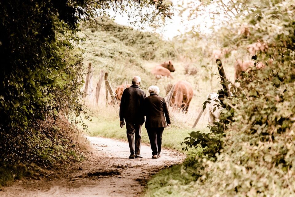 Pixabay- Photo d'illustration - Les noces de nickel sont l'occasion pour les couples de fêter leurs 28 ans de mariage.