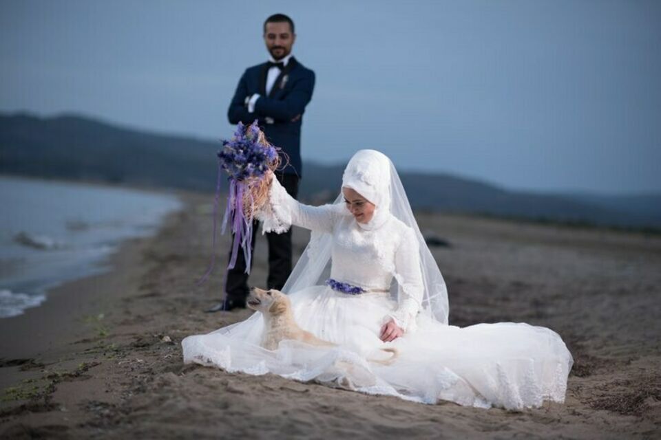 Freepik - Photo d'illustration - Au bord du majestueux Nil, un couple de jeunes mariés égyptiens célèbre son union dans la joie des traditions. La mariée, rayonnante, partage un moment tendre avec son chien, symbole de leur nouvelle vie ensemble, tandis que le marié les observe avec amour et fierté.