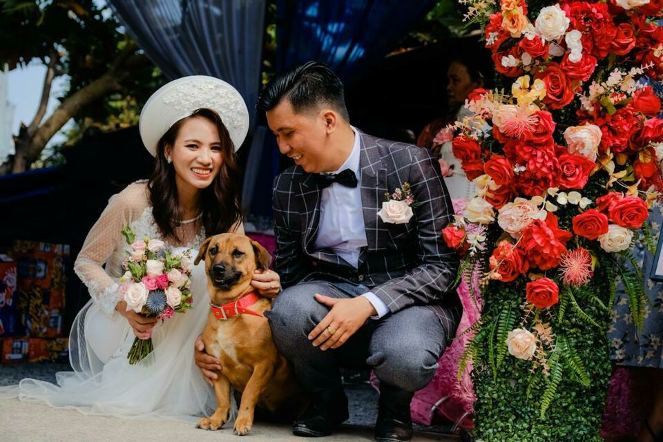 Adobe Stock - Photo d'illustration - Nombreux sont les couples à compter un animal de compagnie au sein de leur foyer. Un compagnon qui fait partie intégrante de la famille et est donc inclus à toutes les festivités. Mais il convient, notamment pour les mariages, de veiller à leur bien-être.