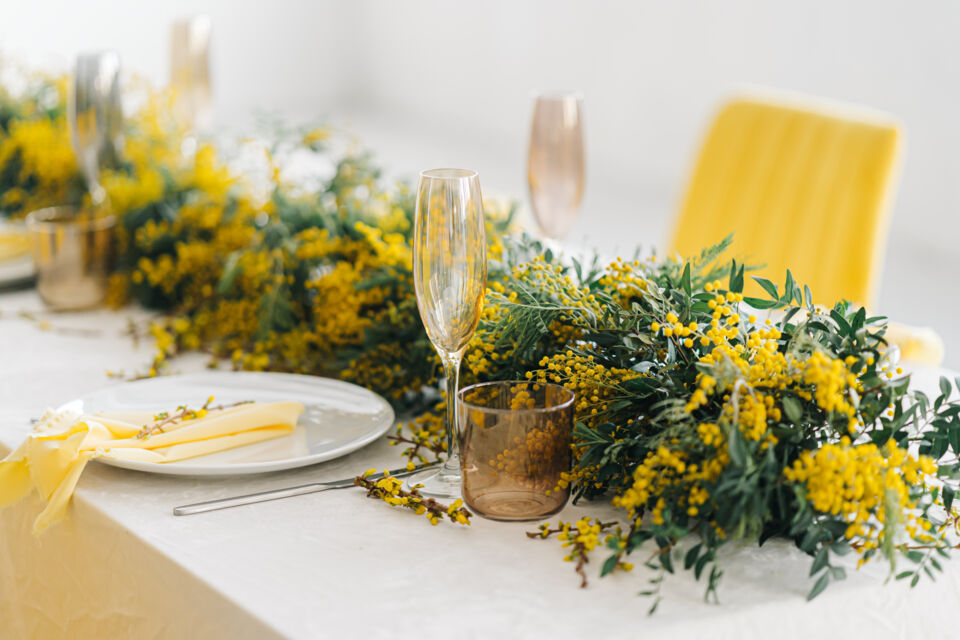 Adobe Stock - Photo d’illustration - Chaque printemps, en Côte d'Azur, la fleur du mimosa est célébrée avec éclat, et elle peut parfaitement s'intégrer à la décoration de toute fête.