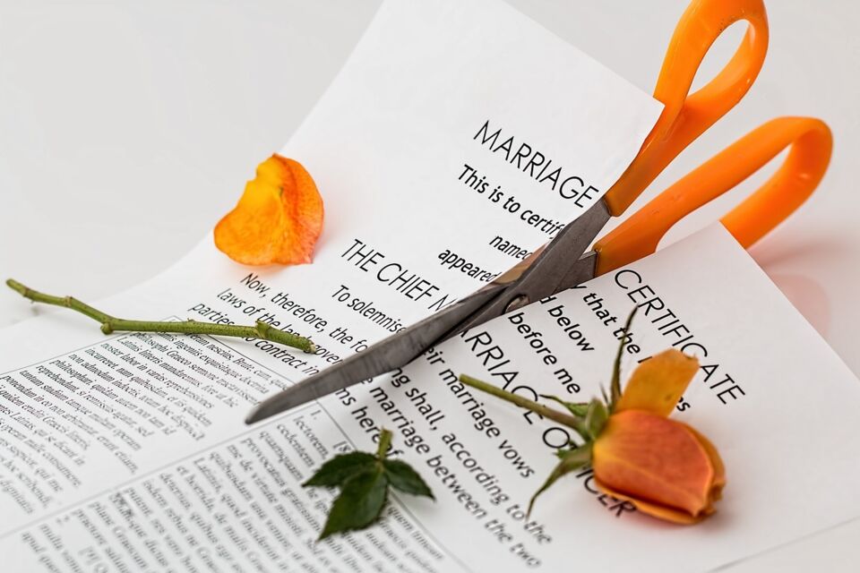 Pixels - Photo d'illustration - La renaissance florale du printemps et les turbulences émotionnelles des relations humaines, suggère la complexité de cette saison où le renouveau côtoie parfois la séparation et le divorce.