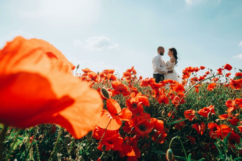 Pexels - Photo d'illustration - Les fleurs possèdent des atouts majeurs. Symbolisant l'amour, elles sont aussi parfaites pour décorer un mariage.