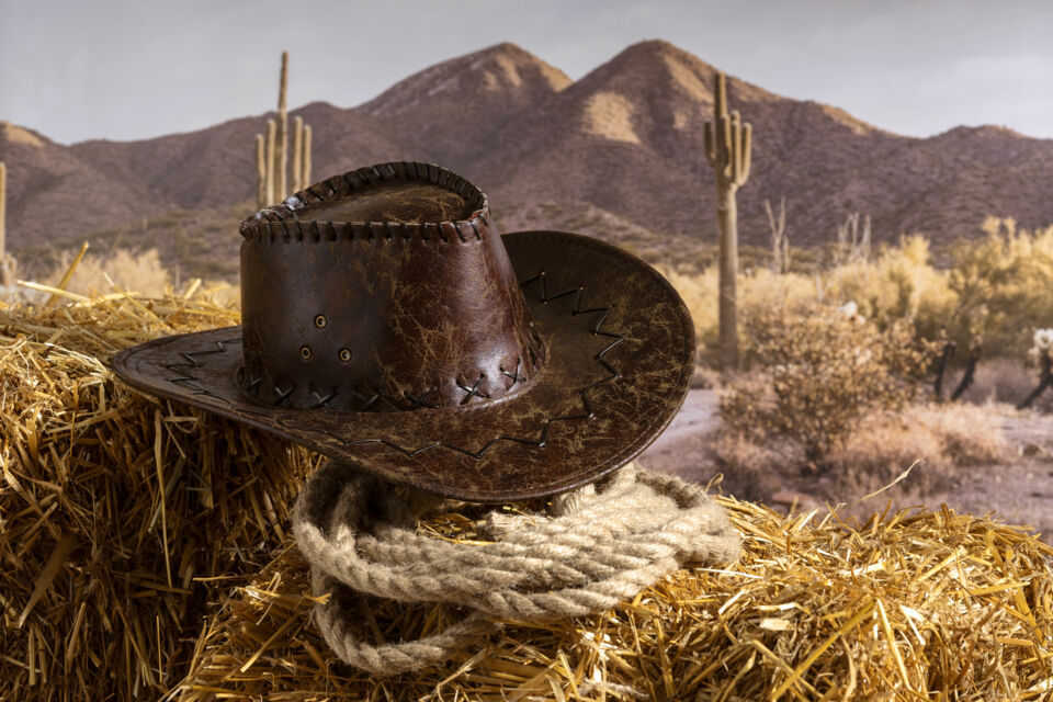 Freepik- Photo d'illustration - Avec des décorations authentiques et des touches rustiques votre mariage sera une véritable fête Western, empreint de l’esprit du Far West.