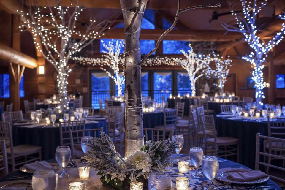 Freepik - Photo d'illustration - Pour un mariage hivernal, imaginez une salle ornée de guirlandes lumineuses, de branches de sapin enneigées et de bougies parfumées, créant une ambiance féerique et chaleureuse.