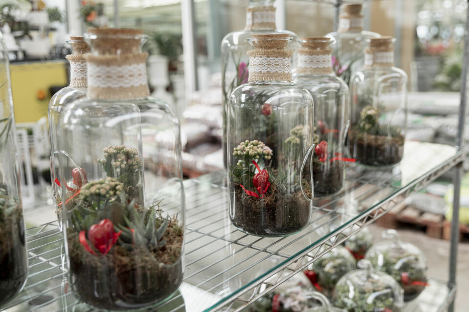 Freepik - Photo d'illustration -  Pour marquer cette journée unique et inoubliable, pourquoi ne pas surprendre vos invités avec des cadeaux aussi originaux qu’inattendus, tels que des mini terrariums ou des kits de cocktails DIY. 
