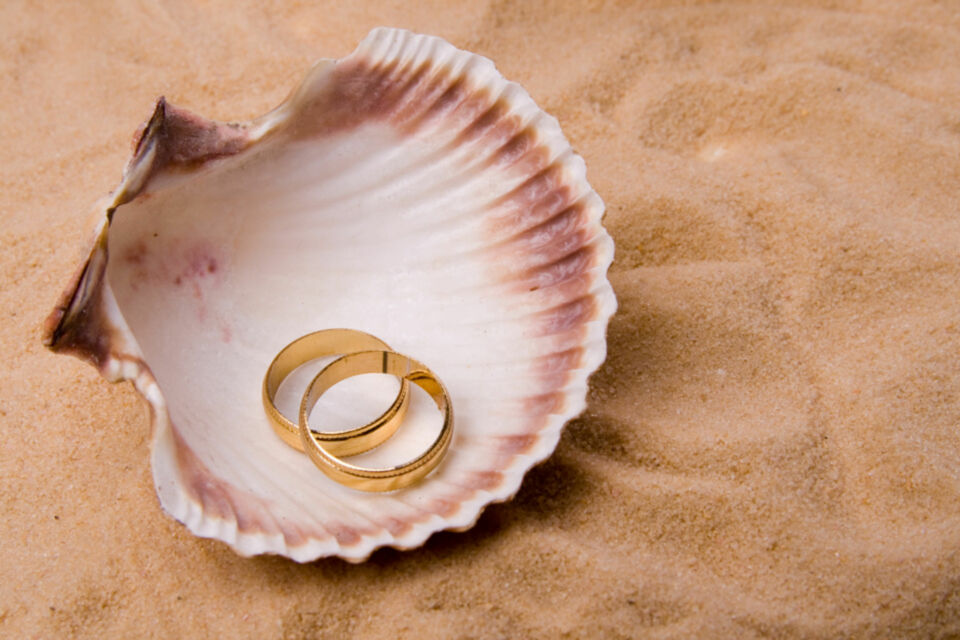 Adobe Stock - Photo d'illustration - Les alliances reposent dans un magnifique coquillage nacré, symbole de pureté et de l’union éternelle. Cette alternative naturelle et élégante au traditionnel coussin de mariage apporte une touche marine à la cérémonie, idéale pour un mariage sur le thème de la plage ou de l’océan.