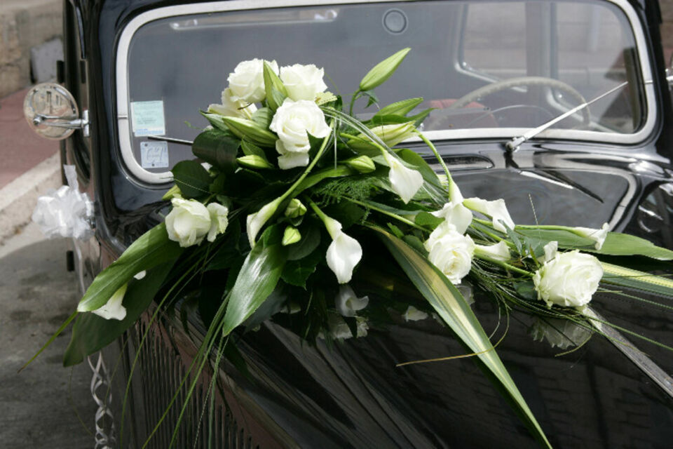 Adobe Stock - Photo d'illustration - L'arum, avec son élégance intemporelle, sublime la décoration de votre mariage, du bouquet de la mariée aux centres de table, en passant par la voiture nuptaile, pour une ambiance raffinée et délicate.