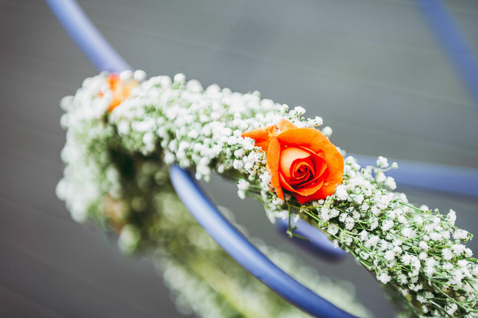 Adobe Stock - Photo d'illustration - La gypsophile est devenue une véritable star des mariages, alliant beauté, praticité et rapport qualité-prix.