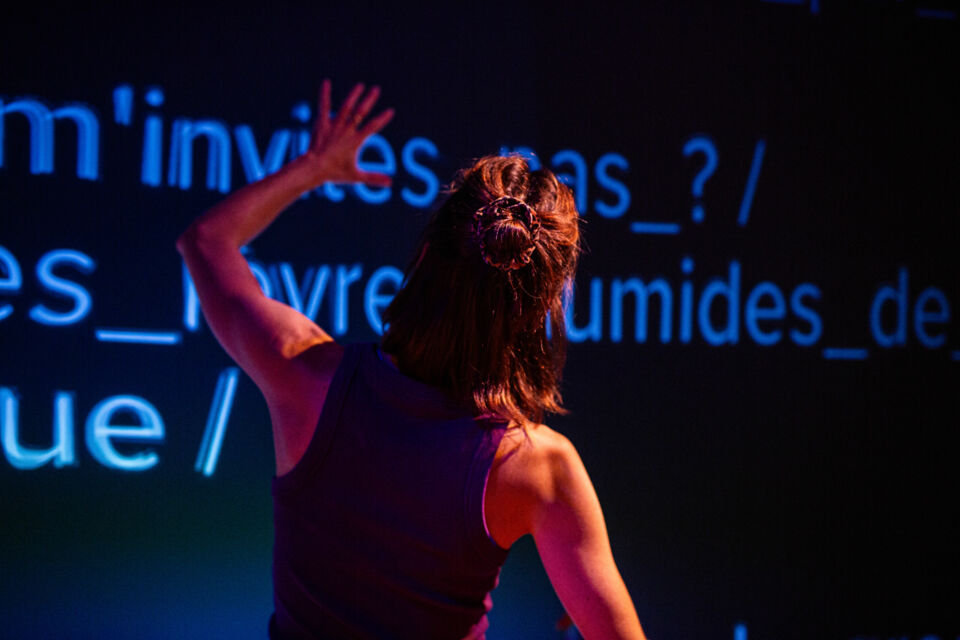 La Tricoterie -  A la fois humoristique, émotive et incisive, L'Amour sous algorithme explore l'influence des algorithmes sur nos vies amoureuses.