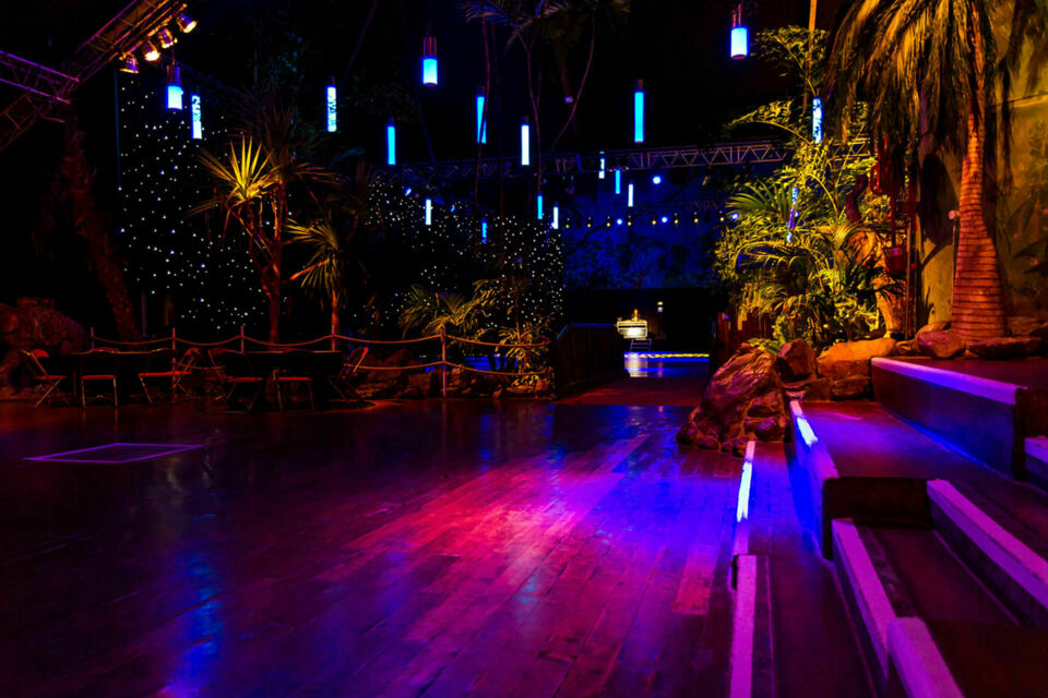 ABC Salles – DR - La Palmeraie fait partie de ces établissements uniques où l'exotisme rencontre l'élégance. Avec son décor tropical, ses palmiers majestueux et son ciel étoilé, c’est l’endroit idéal pour créer des souvenirs inoubliables lors de vos événements privés et professionnels. 