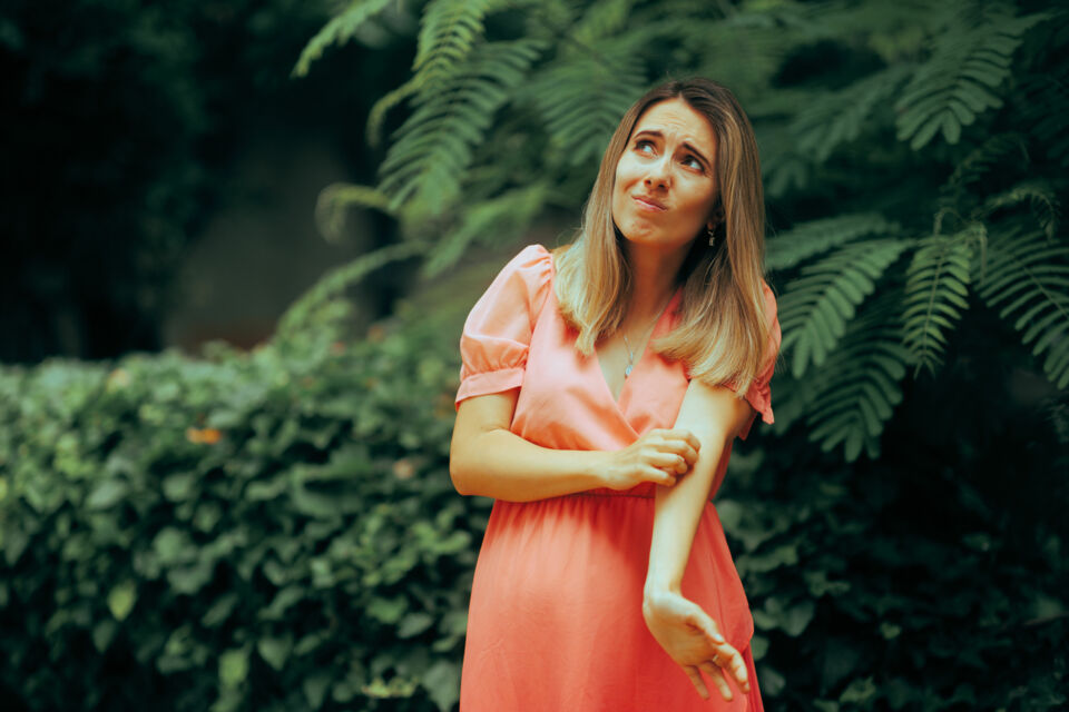 Adobe Stock - Photo d'illustration - Moustique-tigre, chikungunya, dengue : quelles précautions prendre pour organiser sereinement un événement en plein air en 2025 ?