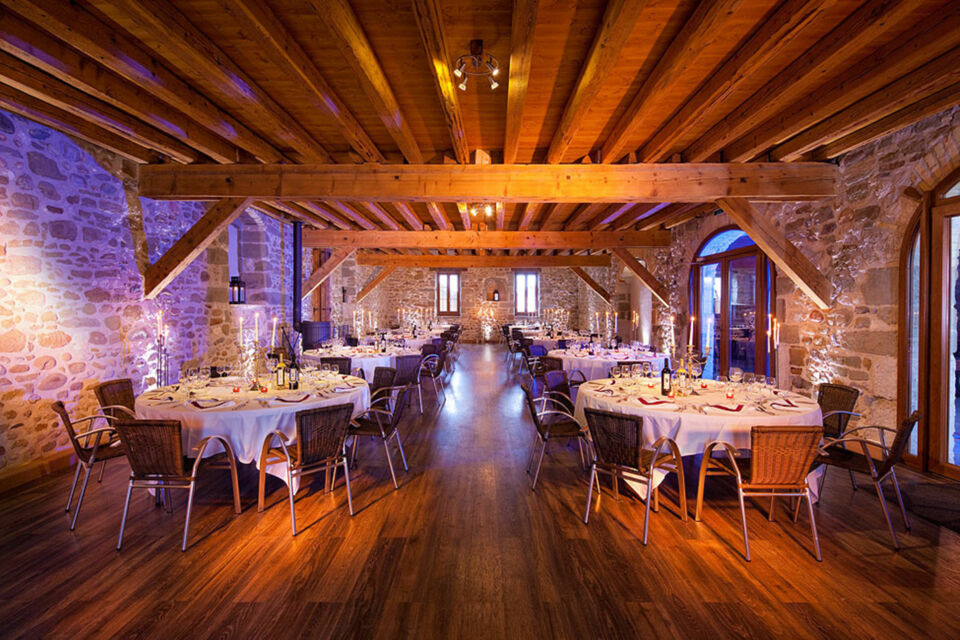 ABC Salles - droits réservés - Niché sur les hauteurs de Satigny, le Clos du Château offre un cadre viticole paisible et inspirant, idéal pour travailler sereinement, organiser des événements et cultiver une vision durable. 
