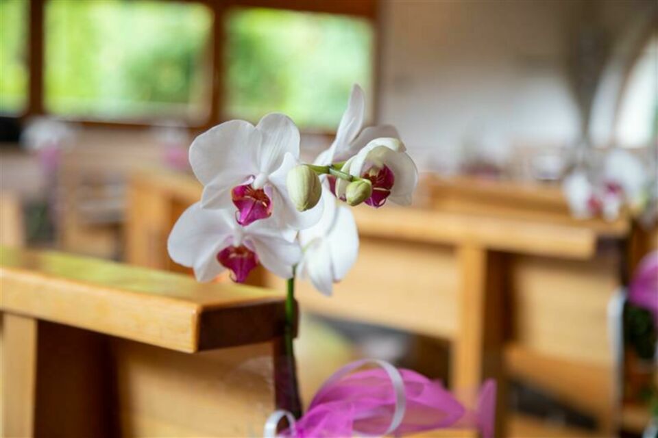 Adobe Stock - Photo d'illustration -&nbsp;Minimalisme, poésie et délicatesse : quand les fleurs asiatiques s’invitent dans votre décoration de mariage. Lotus pour la pureté, cerisier pour l’émotion, orchidée pour l’élégance… Une scénographie tout en finesse pour célébrer votre amour avec sens et douceur.