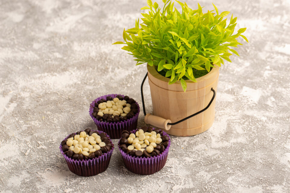 Freepik Photo d'illustration :Choisir des plantes en pot porte-bonheur pour sa décoration de mariage, c’est bien plus qu’un effet de style.