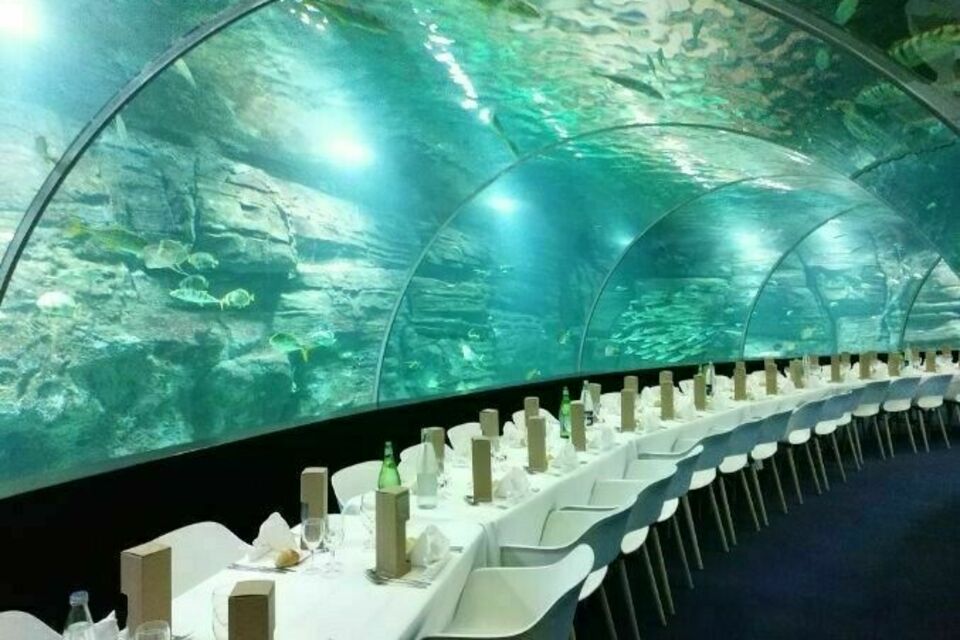 ABC Salles – DR – Sous l’arche hypnotique du Tunnel Haute Mer, Nausicaa plonge collaborateurs et familles dans une expérience immersive unique.