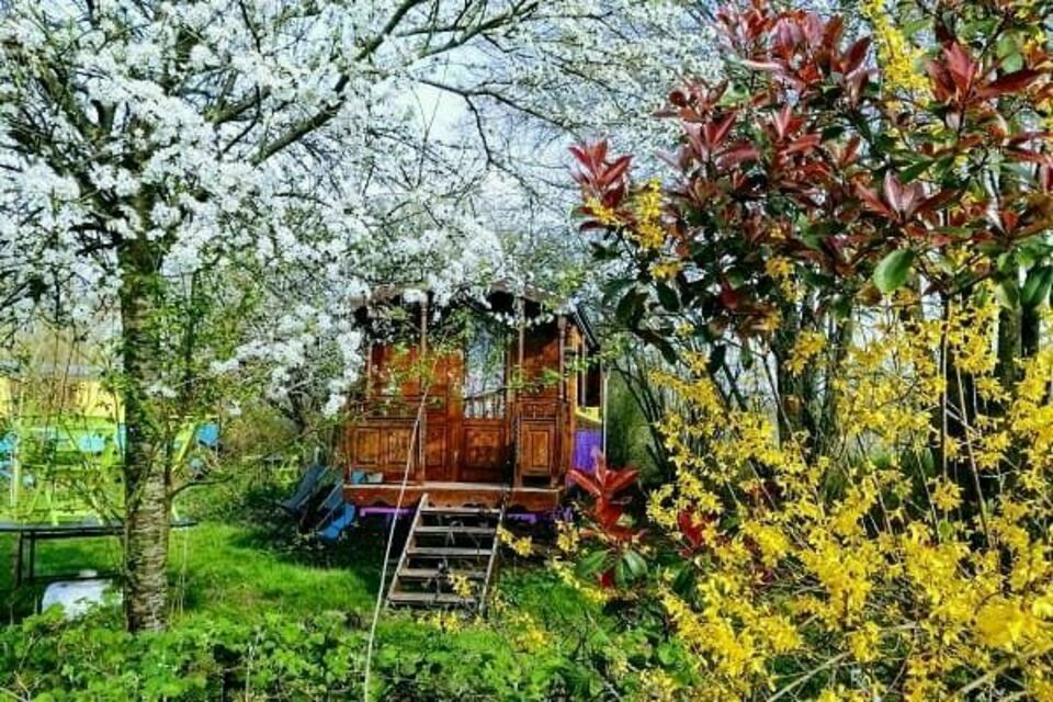 ABC Salles - DR - Au cœur de la nature, La Borde Ecolodge offre un cadre insolite et écologique, idéal pour séminaires résidentiels, team building et événements professionnels inspirants.