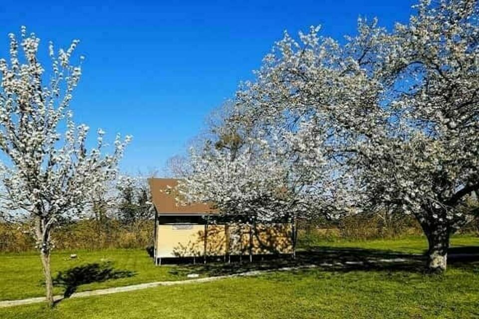 ABC Salles - DR - Sous la canopée de Batilly-en-Puisaye, La Borde Ecolodge révèle ses structures de bois baignées de lumière : un refuge atypique et oxygénant, idéal pour vos séminaires au vert aux portes d'Orléans.