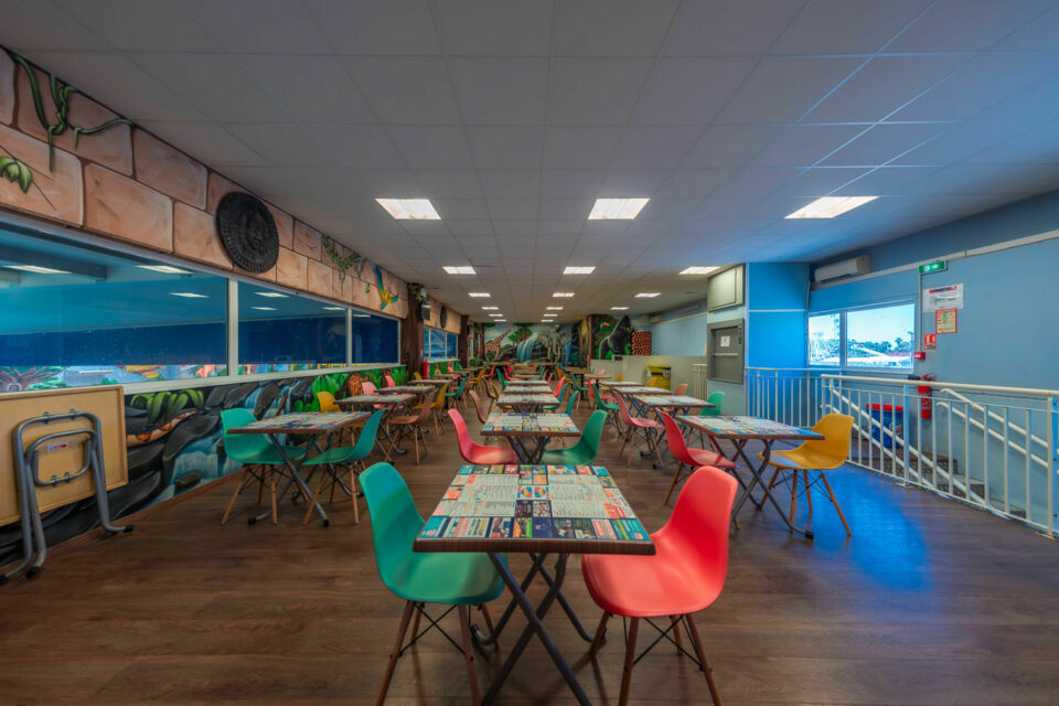 ABC - DR -  Jungle Indoor à Vias, une salle de réception immersive où l'intégration d'une animation d’escalade en bloc transforme vos événements en aventures festives et inoubliables.