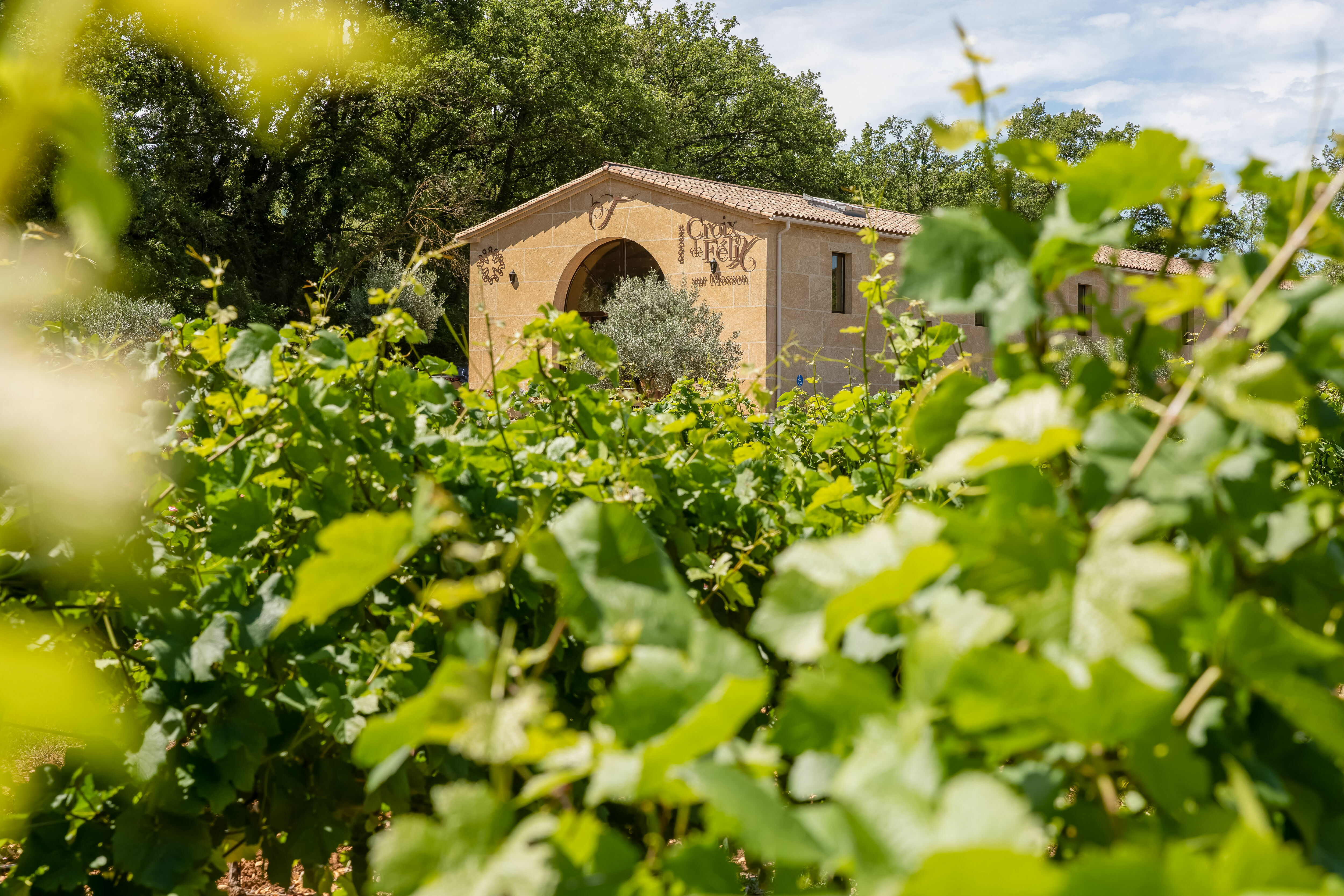 ABC Salles - Vignes éclipsant l'entrée de la salle de réception de la Croix de Félix.