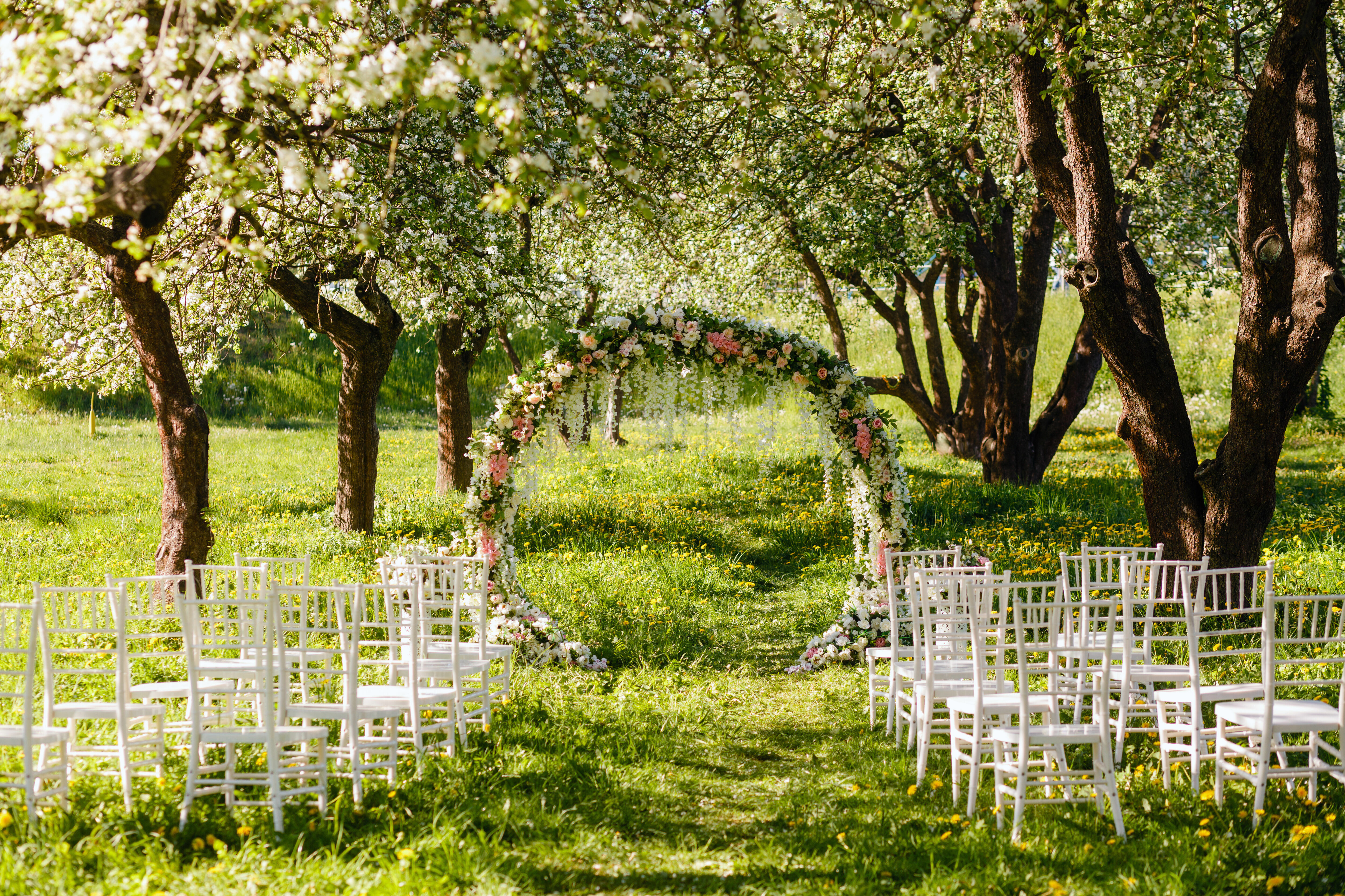 Adobe Stock - Photo d'illustration - Une allée de cérémonie installée dans la nature, avec une arche de fleurs placée au centre.
