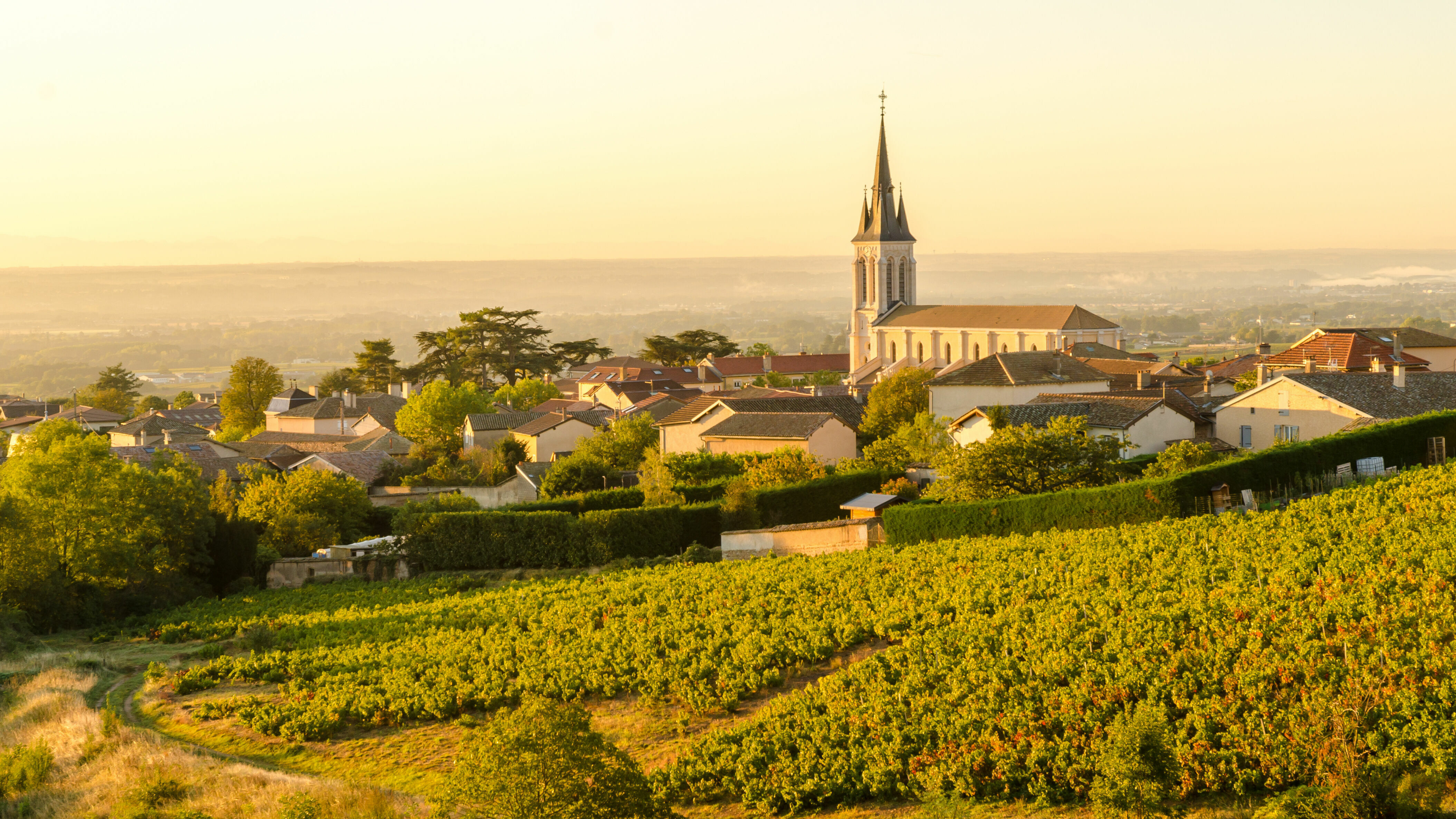 Adobe Stock - Photo d'illustration - Le village de Beaujolais sur lequel se lève doucement le soleil.
