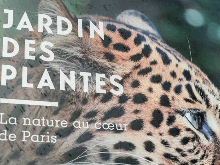 Paris 5ème