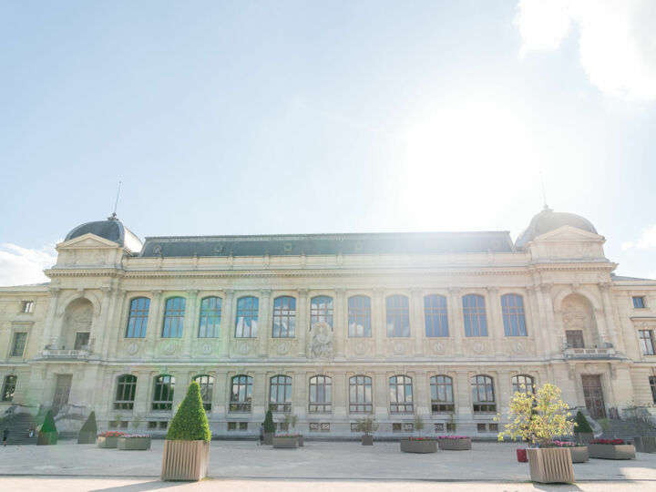 Paris 5ème