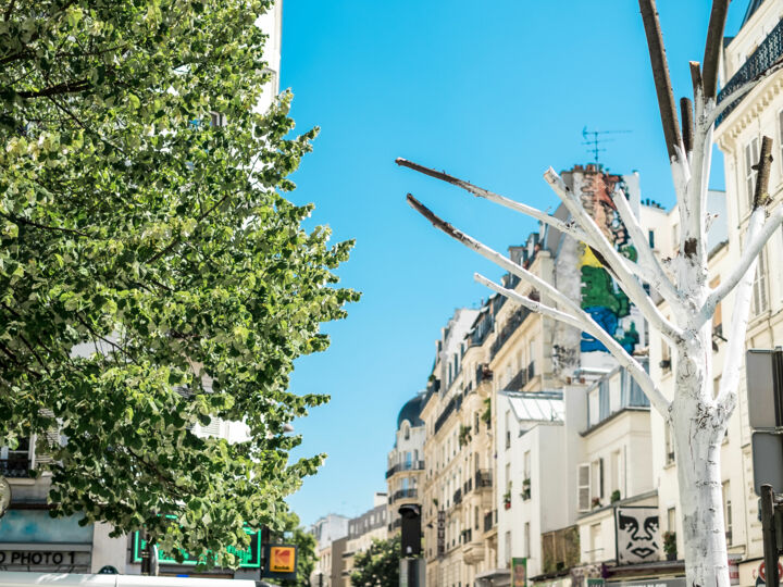 Paris 11ème