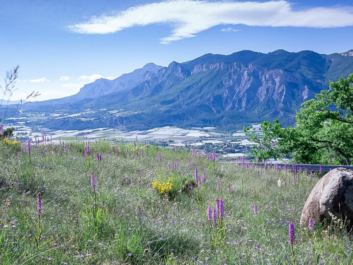 Alpes-de-Haute-Provence