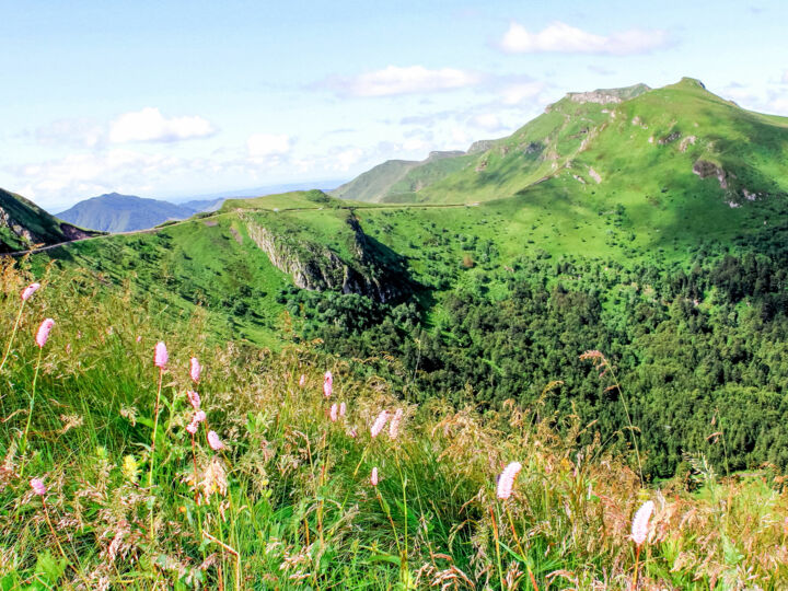 Cantal