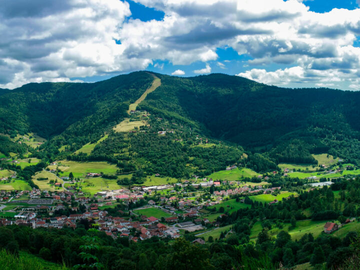 Vosges