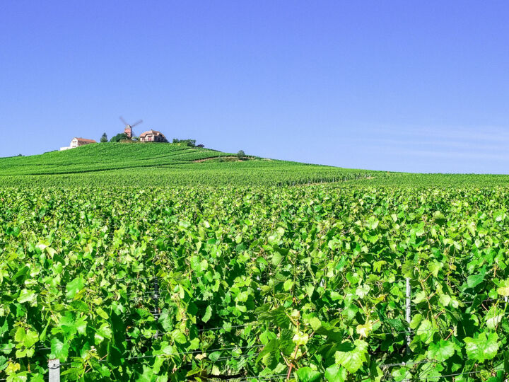 Champagne-Ardenne