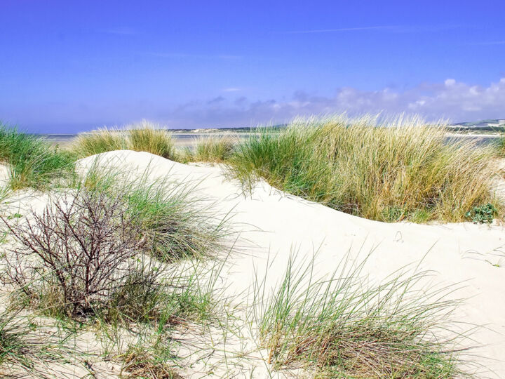 Nord-Pas-de-Calais