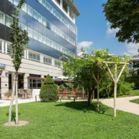 Louvre Hotels Group