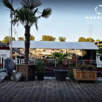 Groupe Magnolia for Event