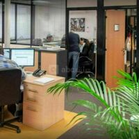 Groupe Working Rolls