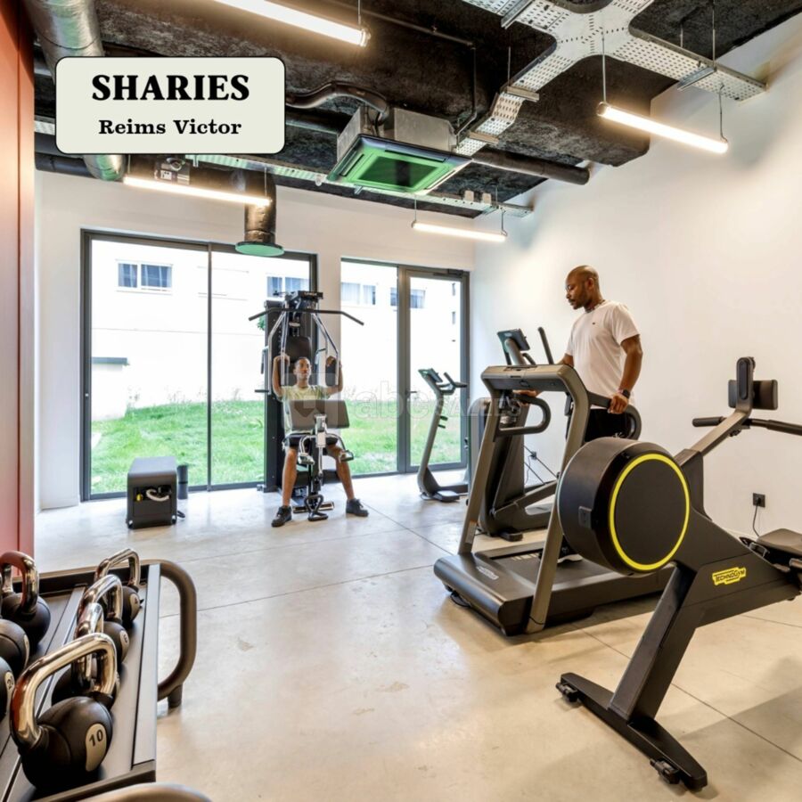 Groupe Sharies