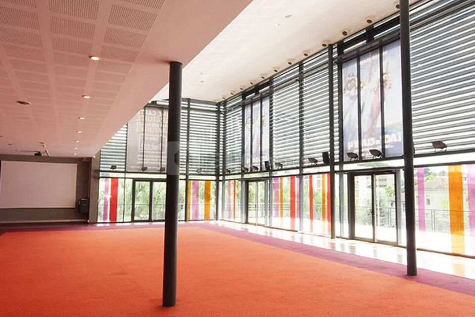 Groupe Pathé Cinémas