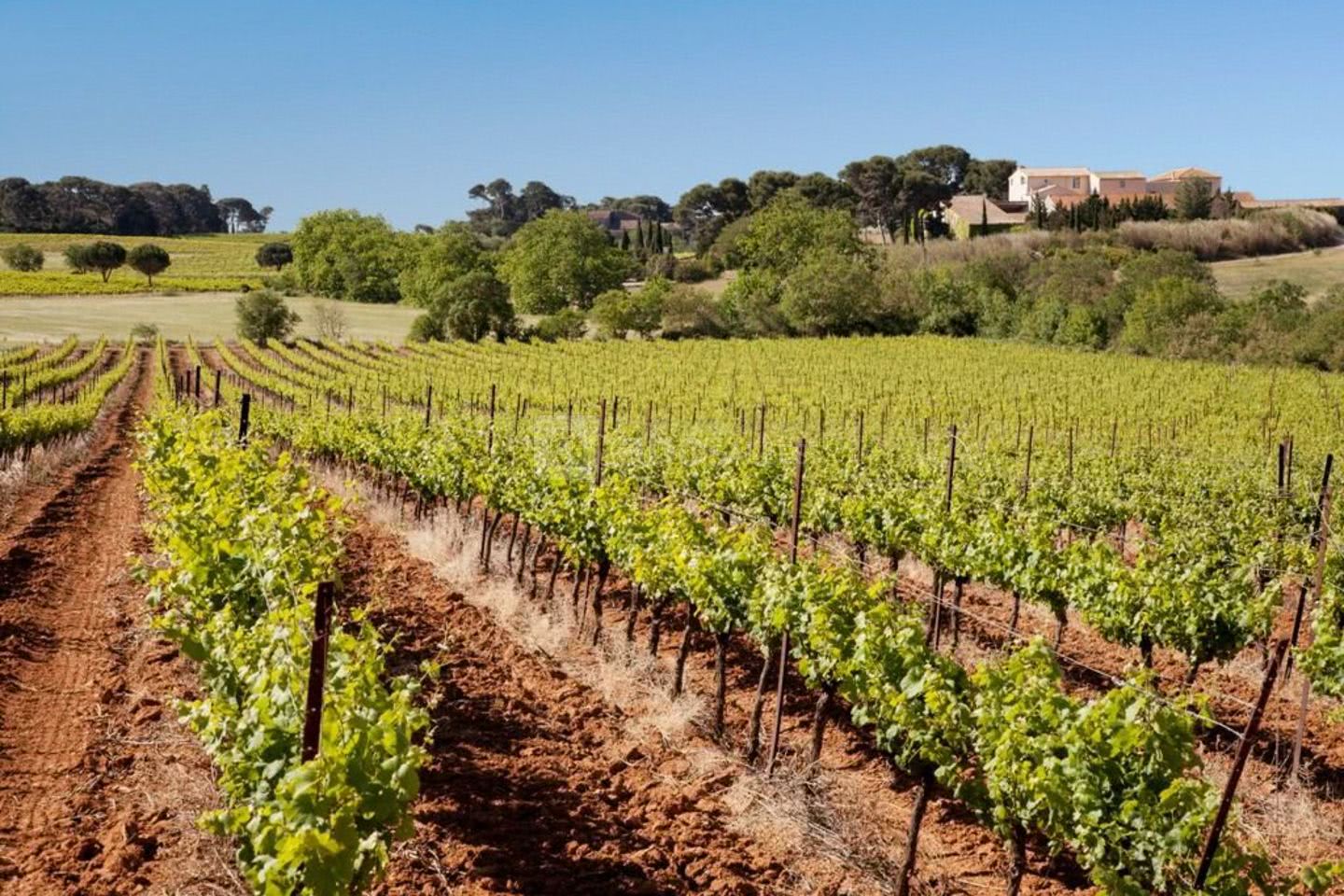 Domaine de Beaumont