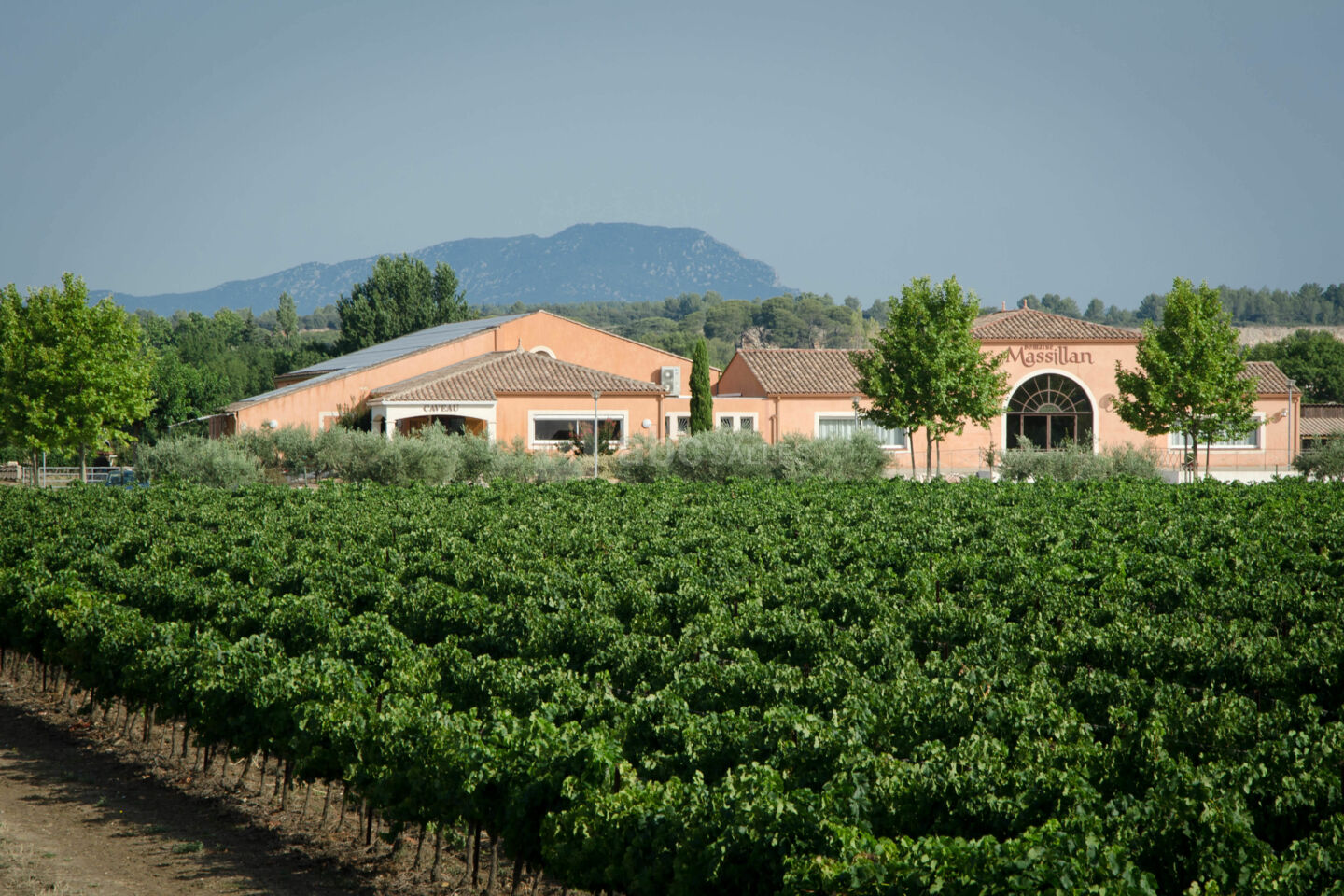 Domaine Massillan