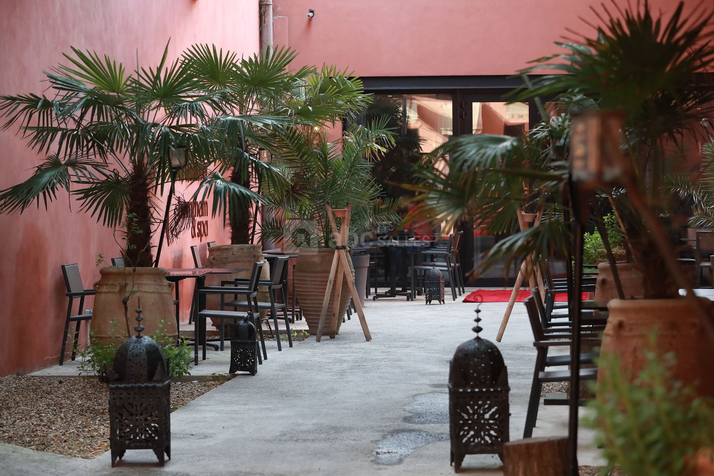 Riad Kechmara