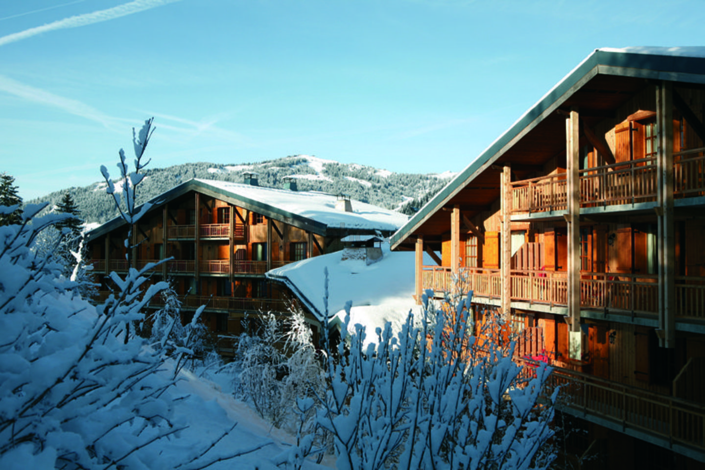 Hôtel l'Arboisie