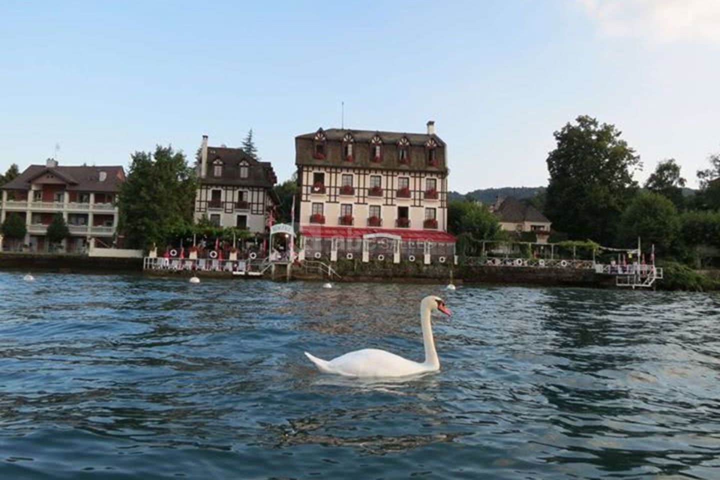 Hôtel les Cygnes