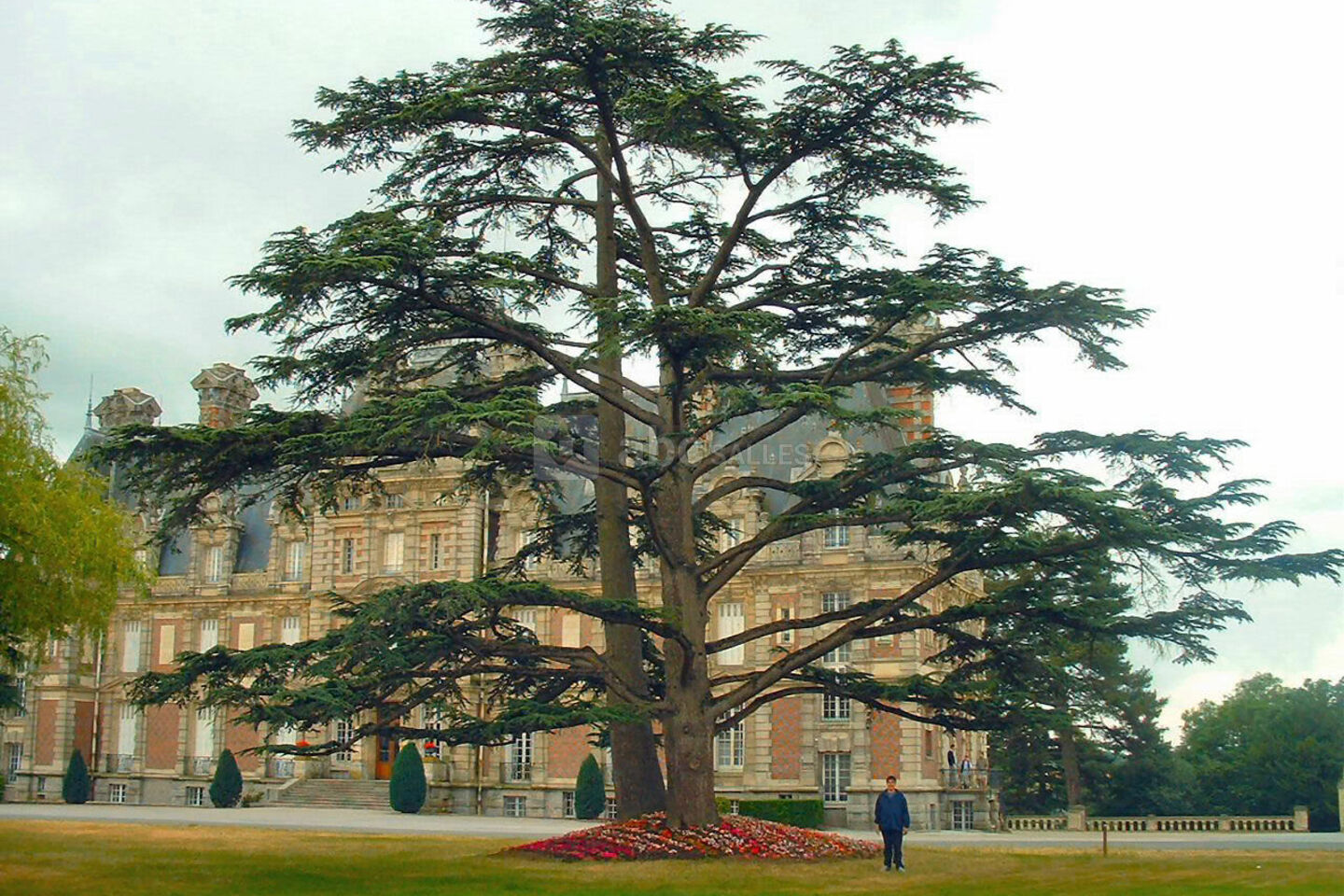 Château de la Turmelière