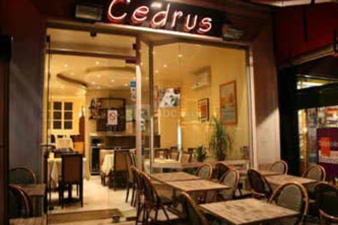 Cedrus