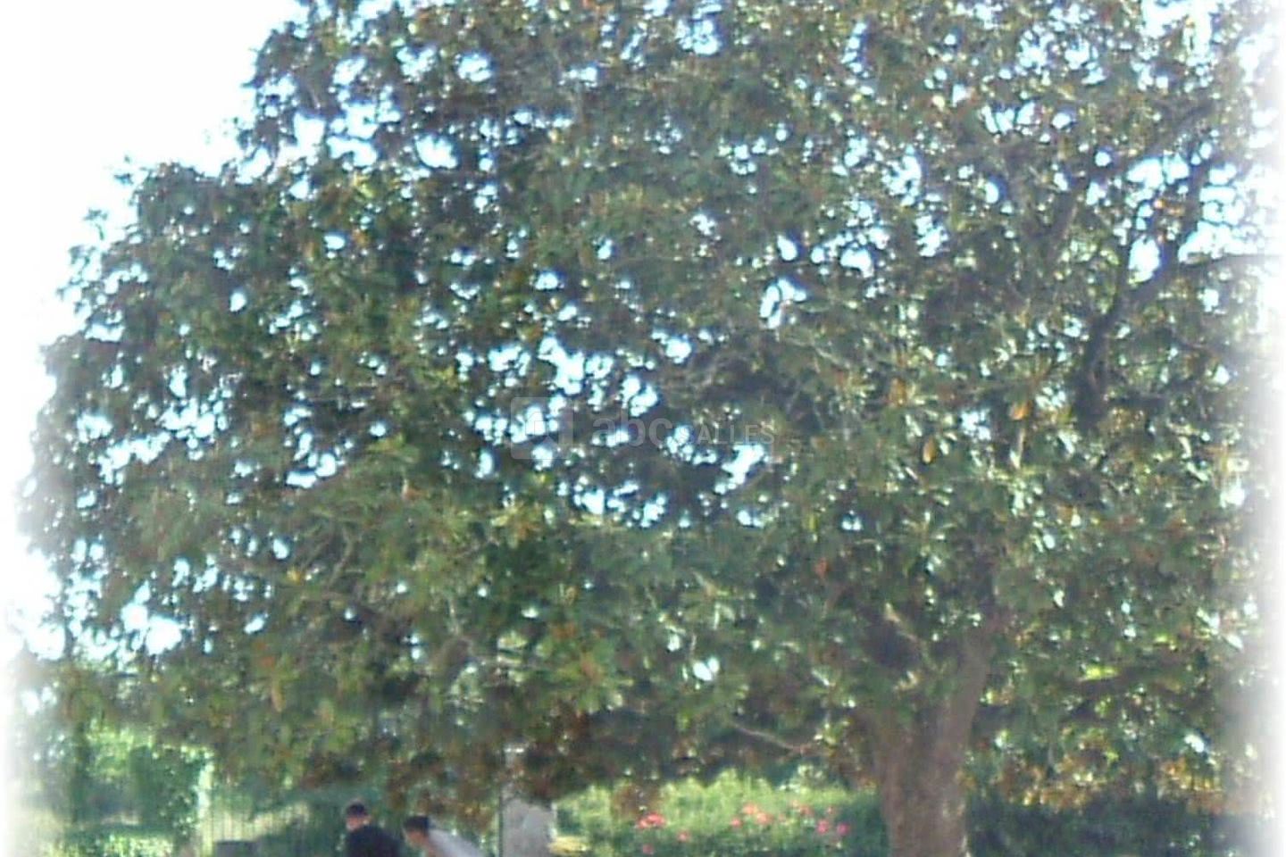 Manoir de Kercadio