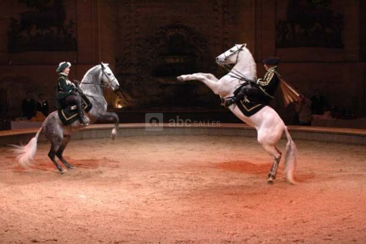 Musee Vivant du Cheval