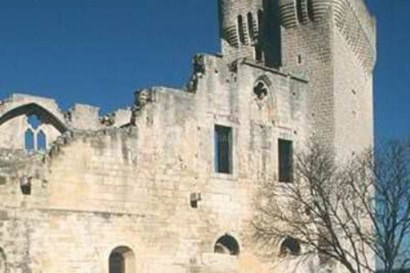 Abbaye de Montmajour
