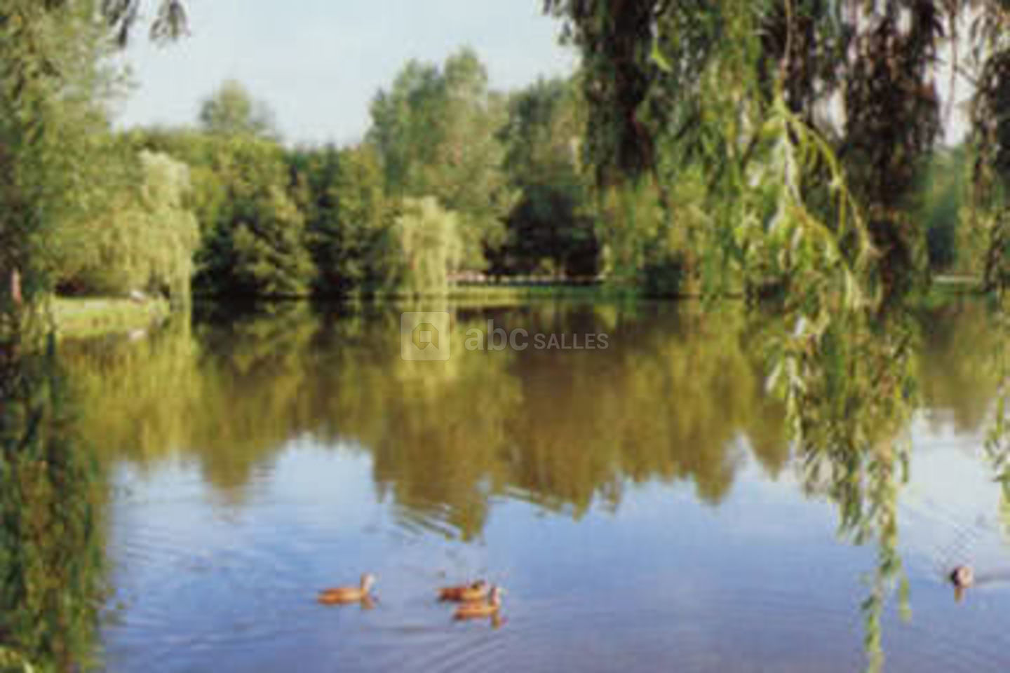 Aigle d'Or