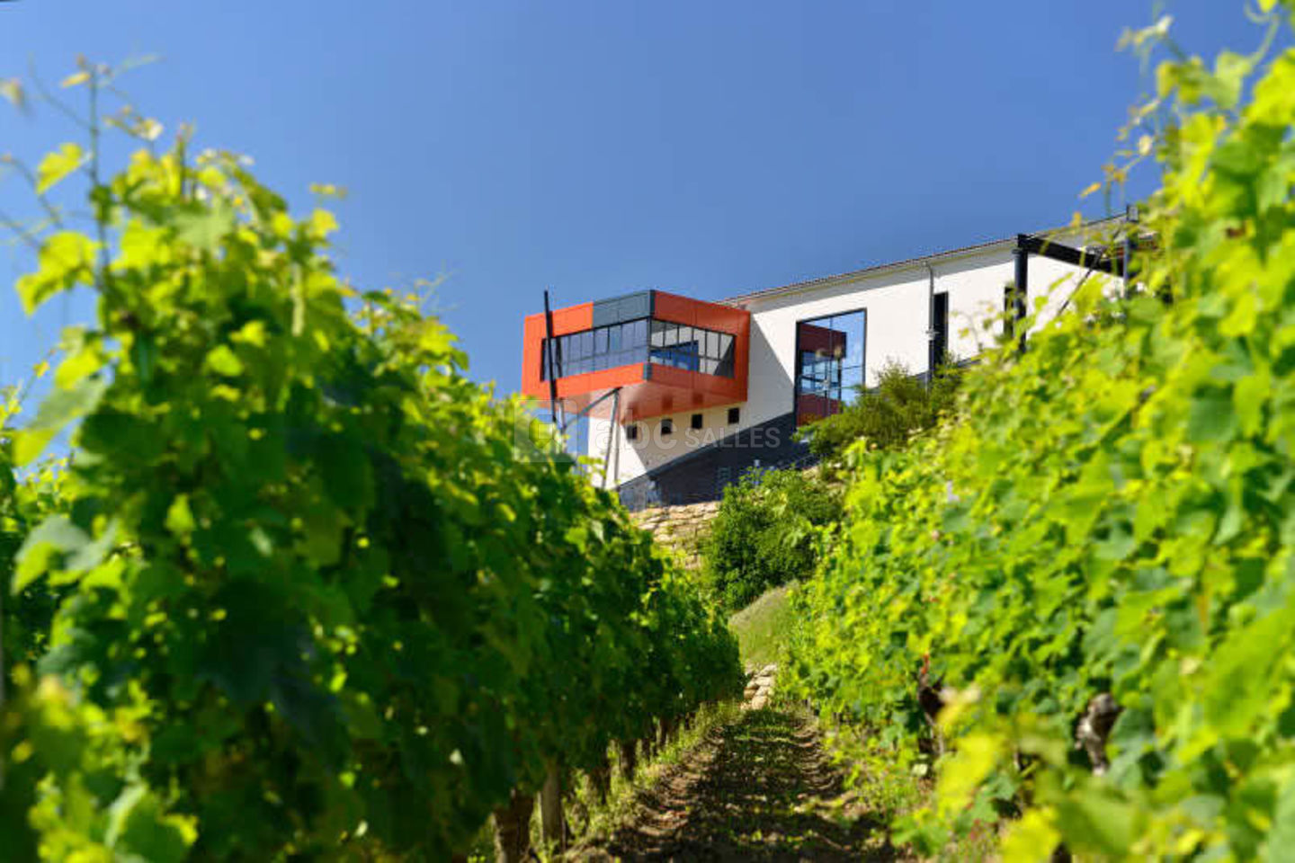 Château la Croizille